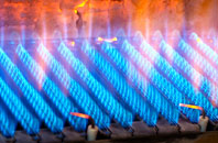 Coed Y Bryn gas fired boilers